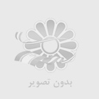 لاستيك ميشلن